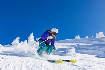 开云体育平台APP-铁幕的另一面，索伯如何用皮亚斯特里揭露梅赛德斯的王朝癌症