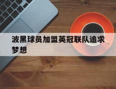 开云APP-波黑球员加盟英冠联队追求梦想