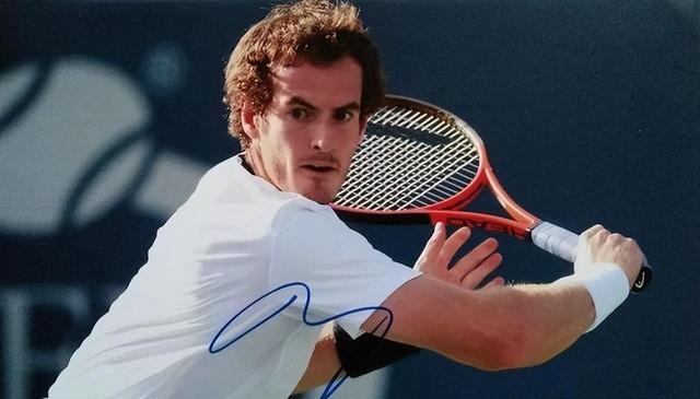 开云体育app-ATP总决赛横扫温网，穆雷点燃赛场的简单介绍