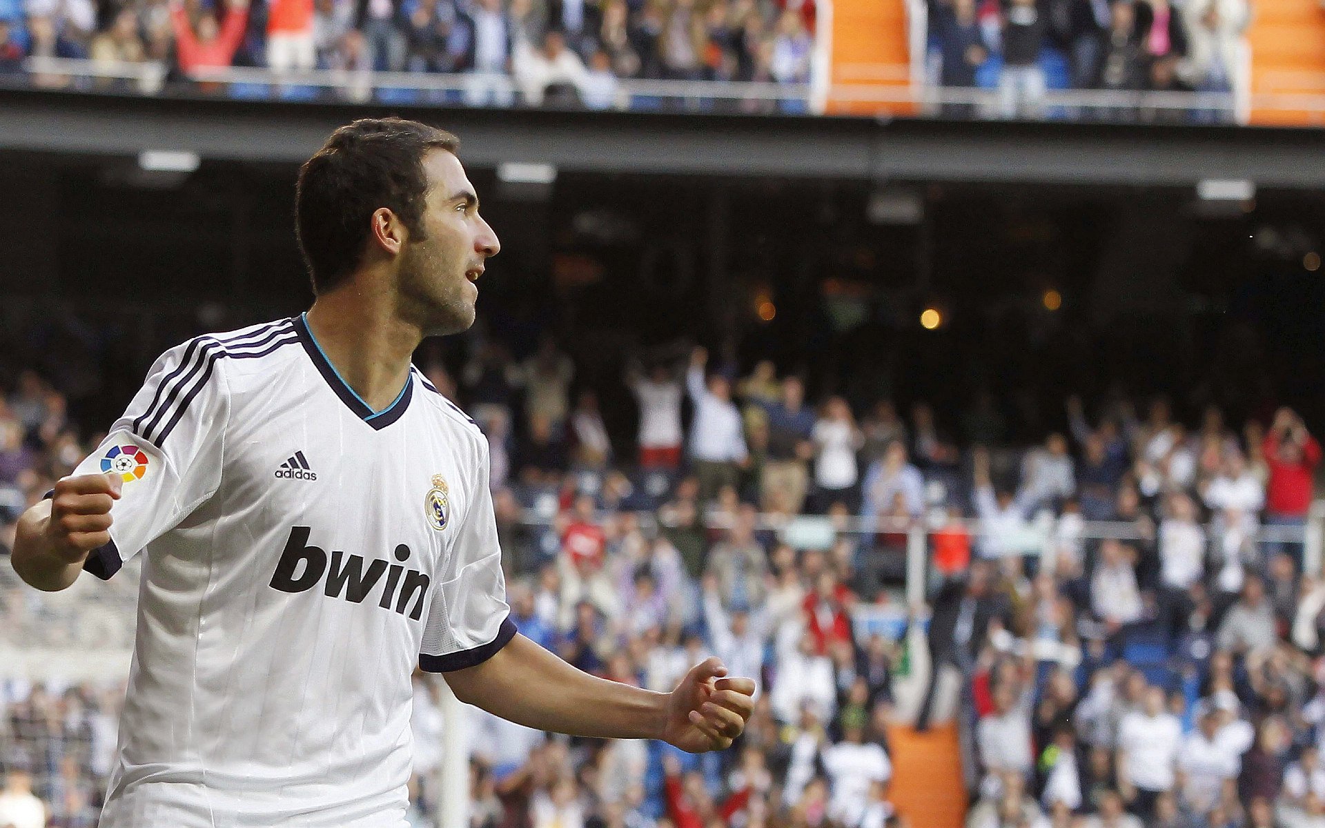 开云下载-平行时空的交汇，绿衫军的铁血与孤星的璀璨